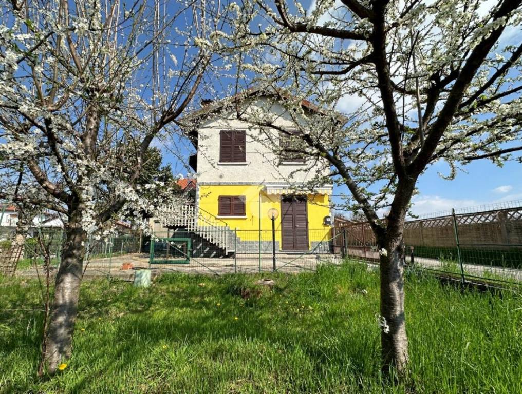 immagine annuncio 3 di 15