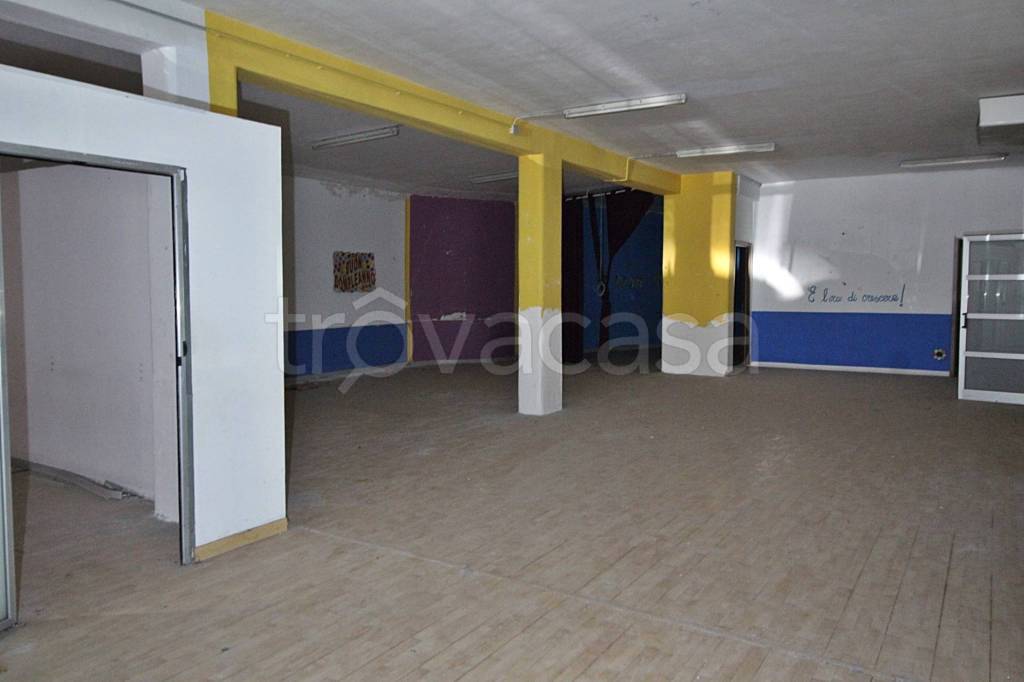 immagine annuncio 2 di 12