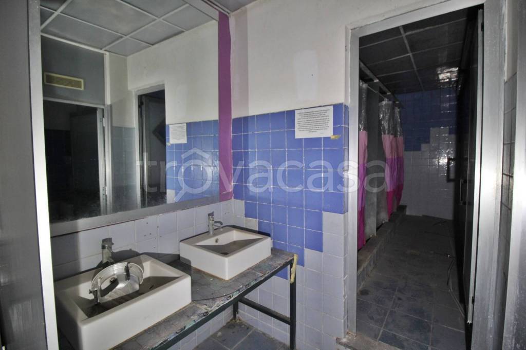 immagine annuncio 3 di 12