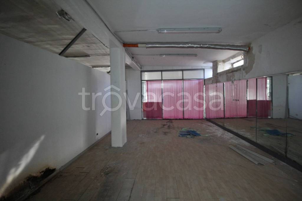 immagine annuncio 5 di 12