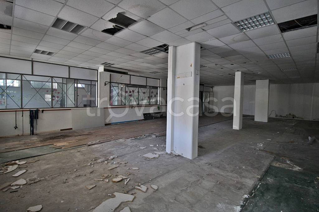 immagine annuncio 6 di 12