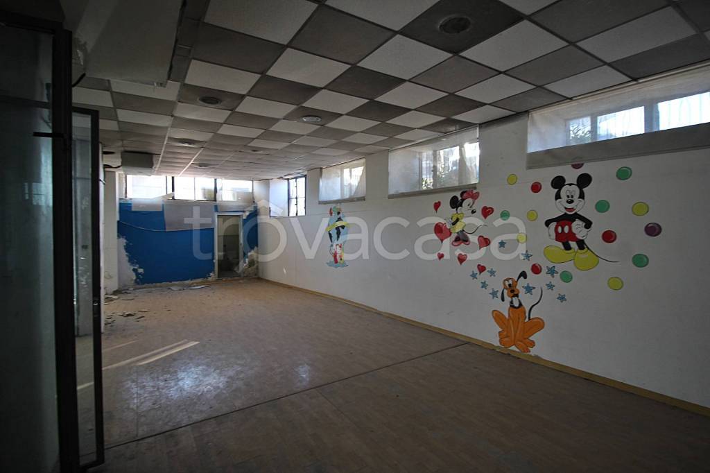 immagine annuncio 7 di 12