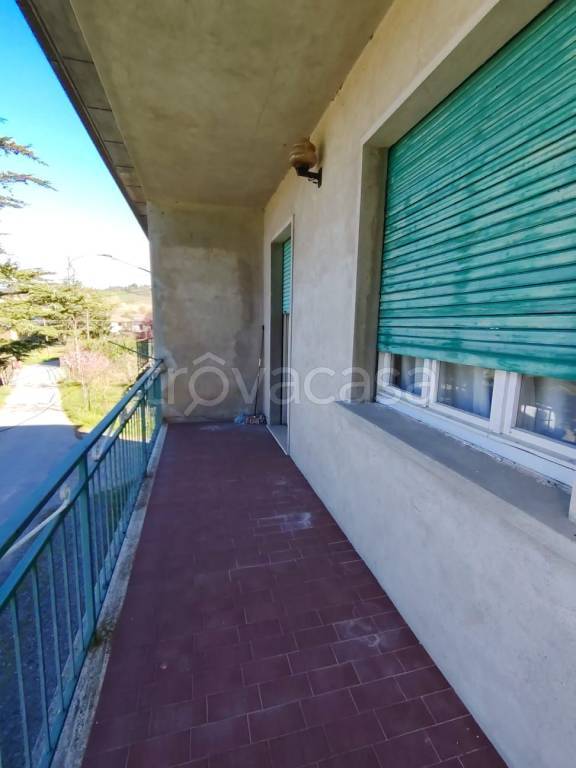 immagine annuncio 7 di 12