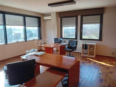 immagine annuncio 4 di 6