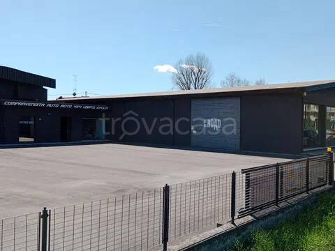 immagine annuncio 3 di 7