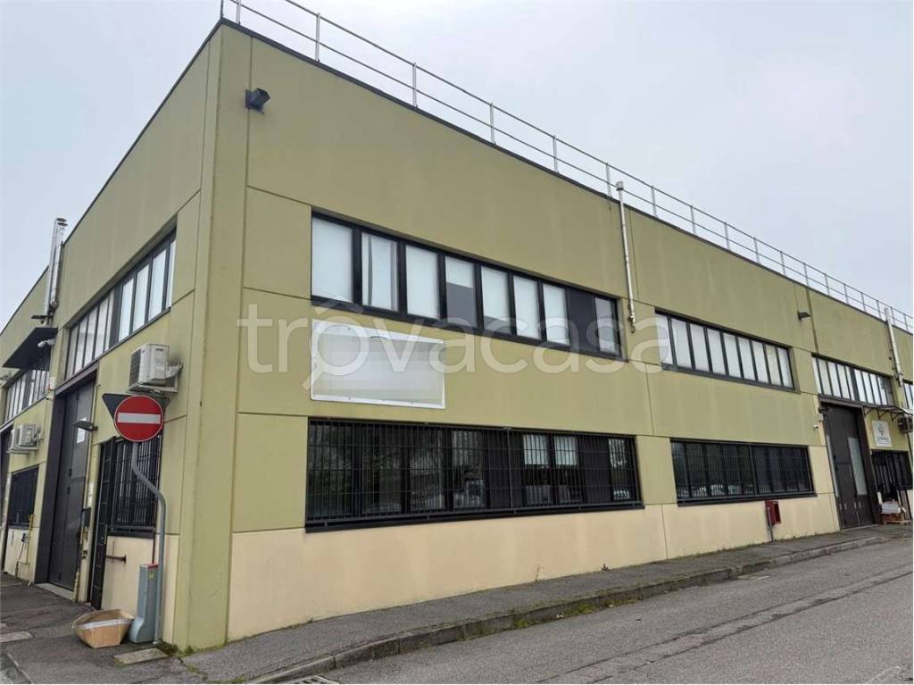 immagine annuncio 6 di 14