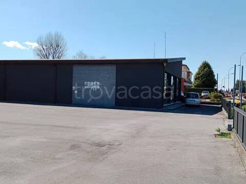 immagine annuncio 4 di 7