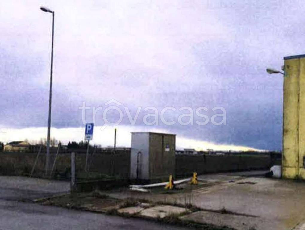 immagine annuncio 2 di 9