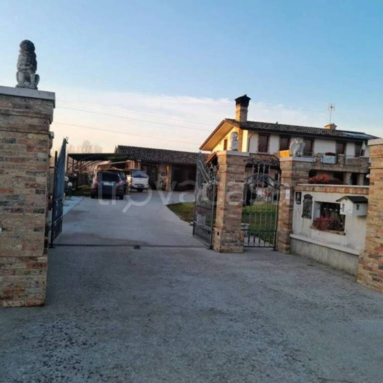 immagine annuncio 5 di 8