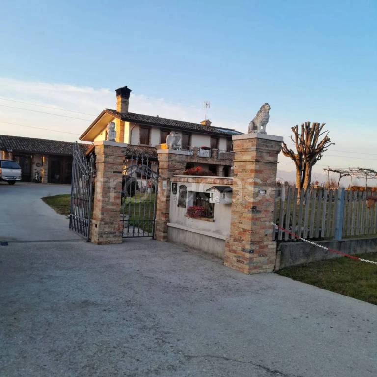 immagine annuncio 6 di 8