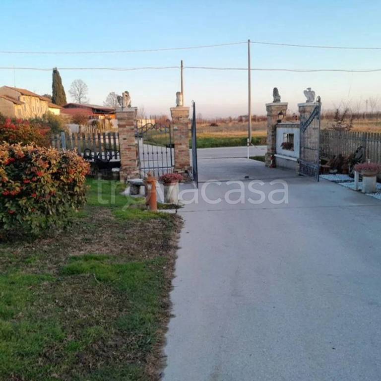 immagine annuncio 7 di 8