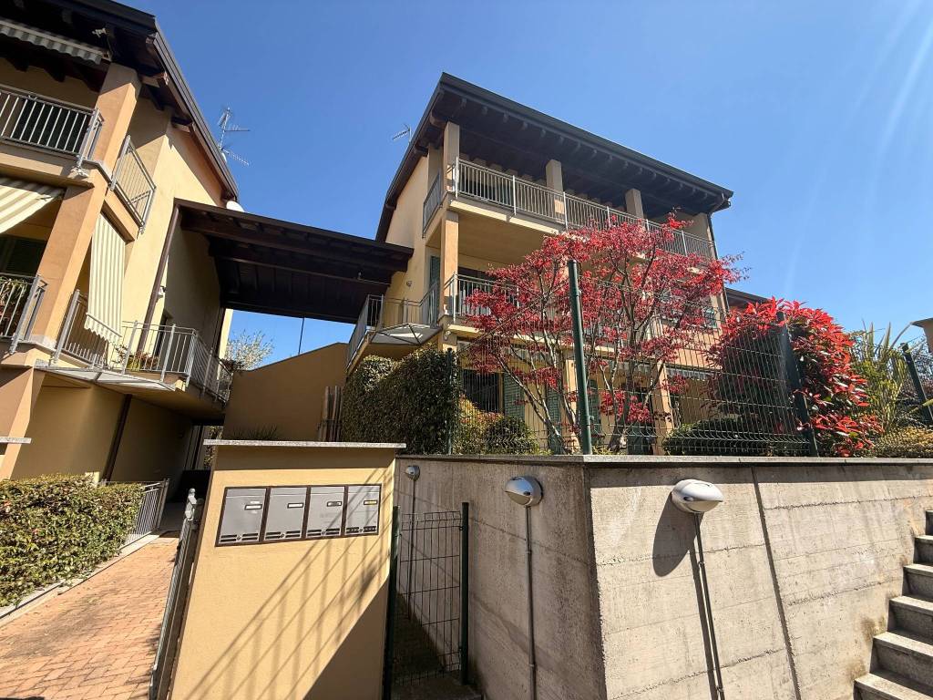 immagine annuncio 11 di 12