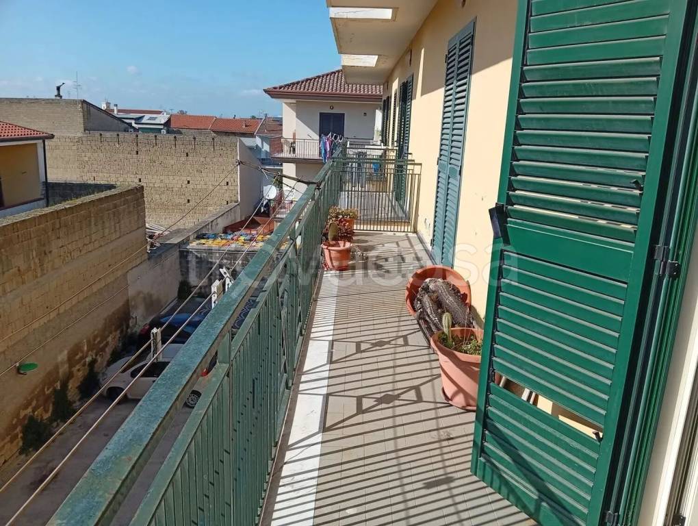 immagine annuncio 4 di 14