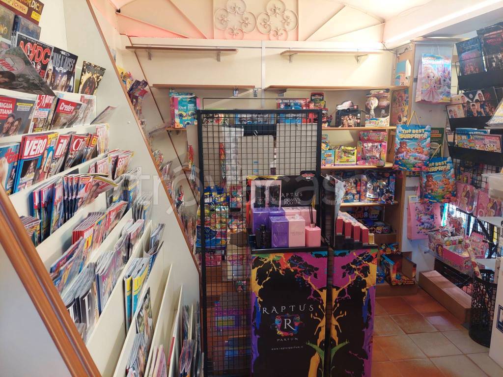 immagine annuncio 3 di 7