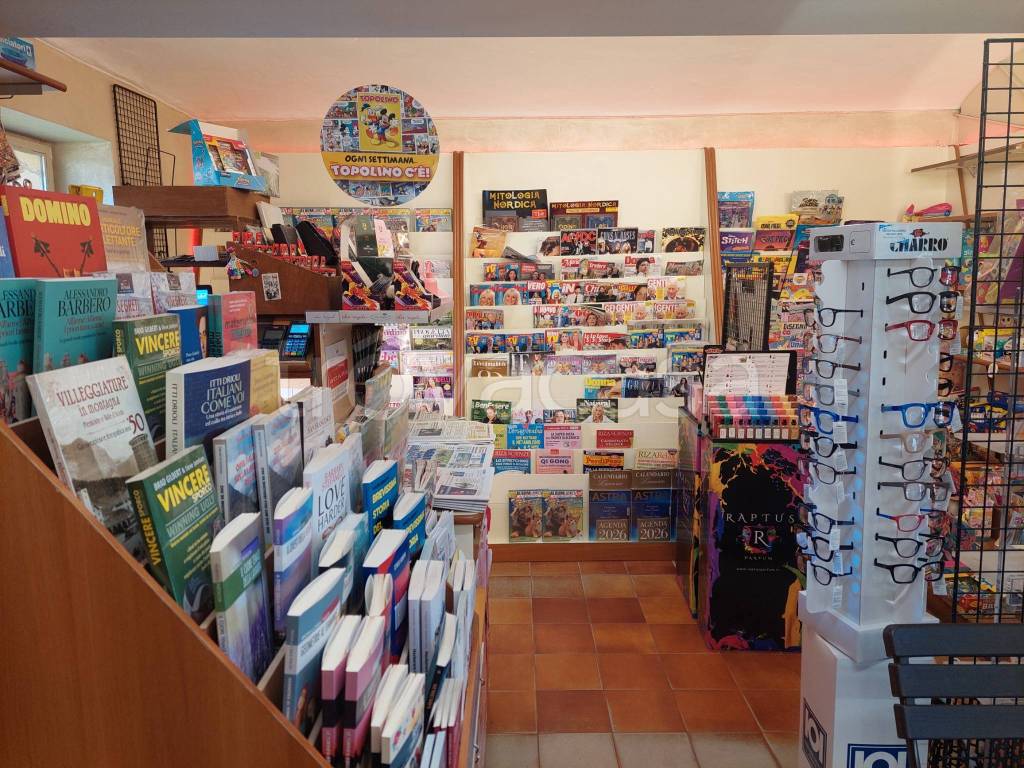 immagine annuncio 6 di 7