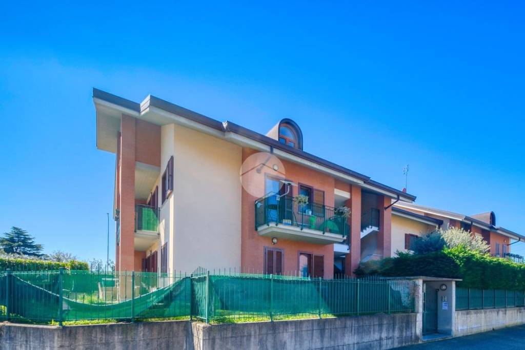 immagine annuncio 2 di 15