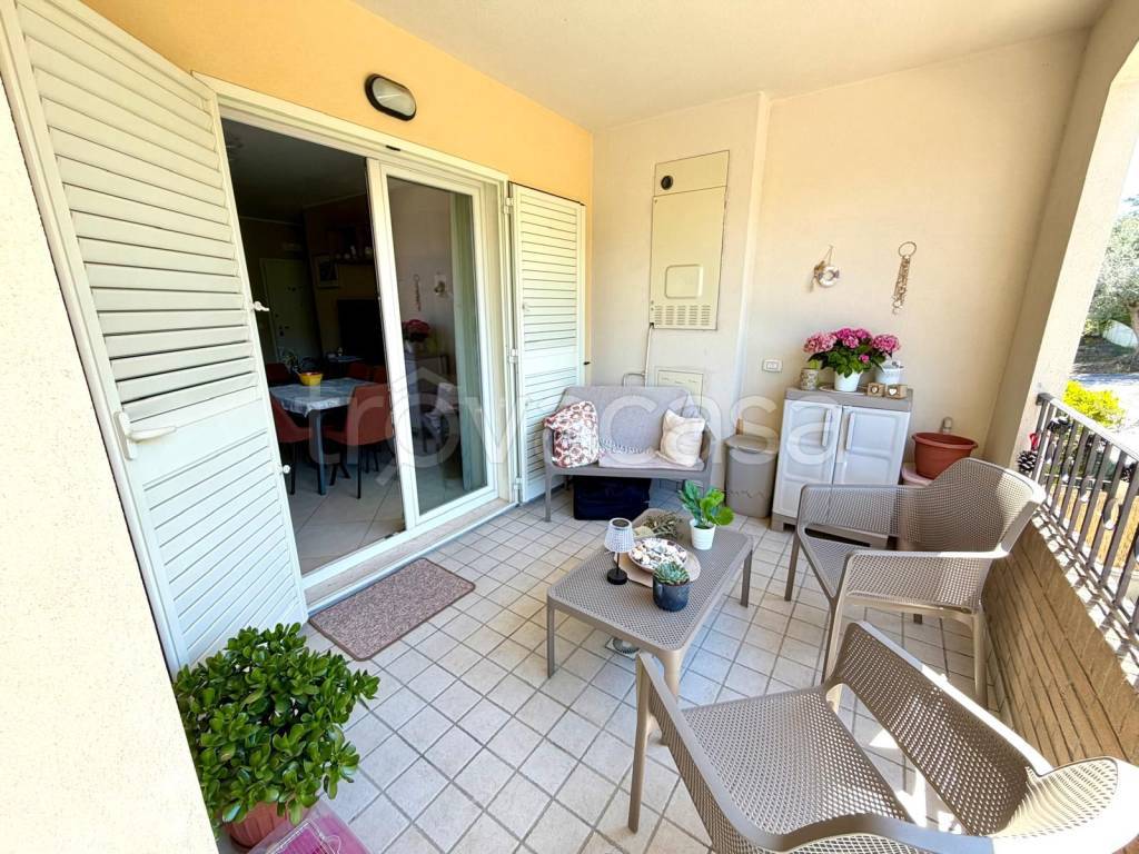 immagine annuncio 9 di 15