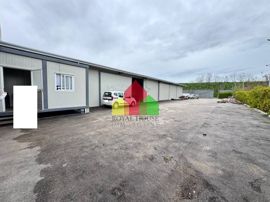 immagine annuncio 1 di 9