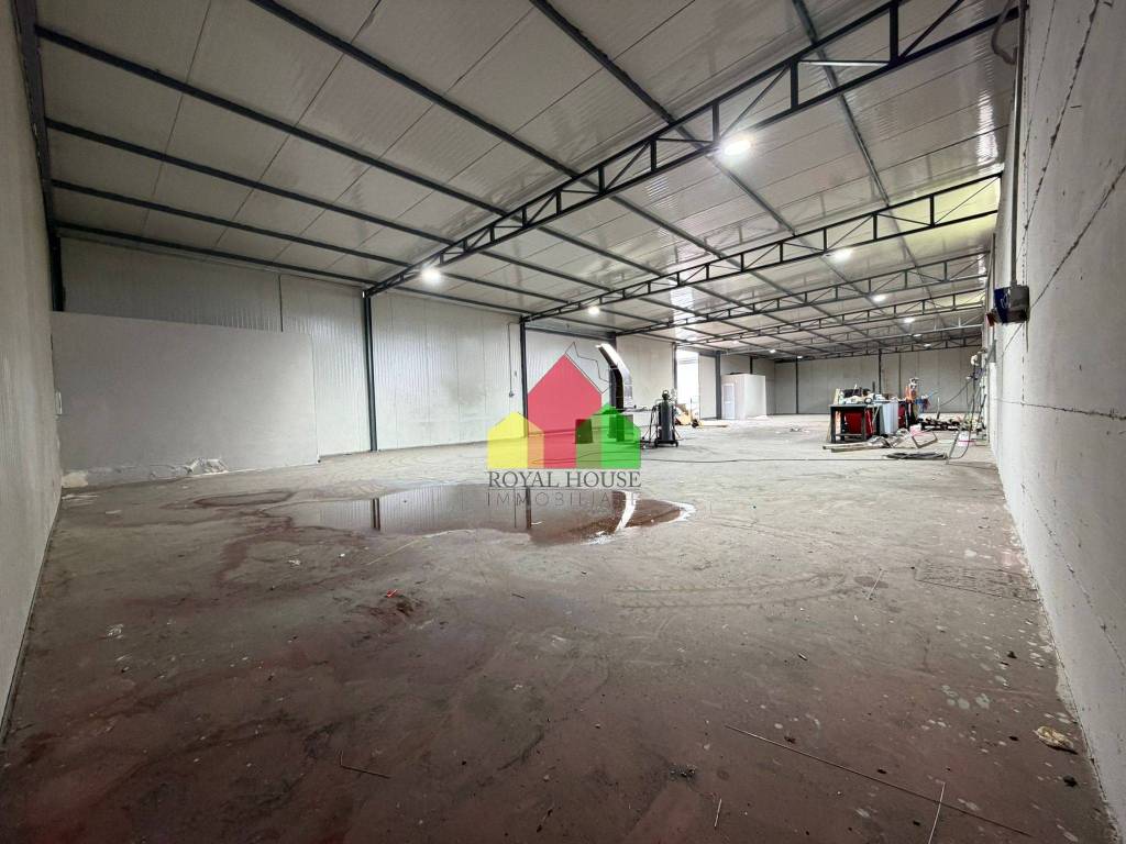 immagine annuncio 3 di 9