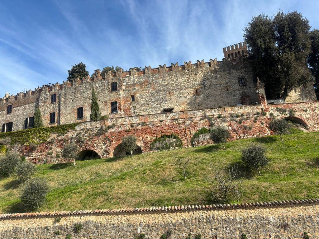 immagine annuncio 6 di 7