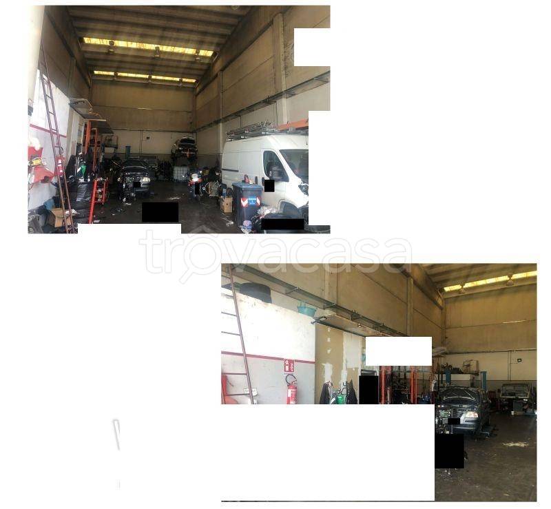 immagine annuncio 1 di 2