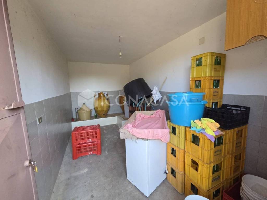 immagine annuncio 13 di 15