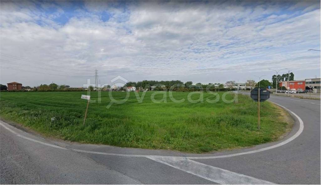 immagine annuncio 2 di 8