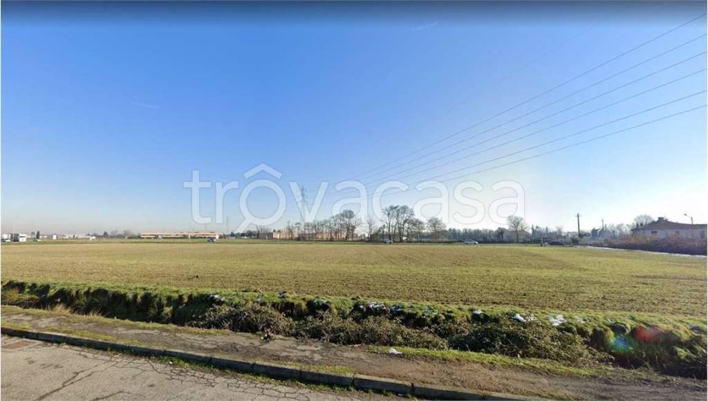 immagine annuncio 5 di 8