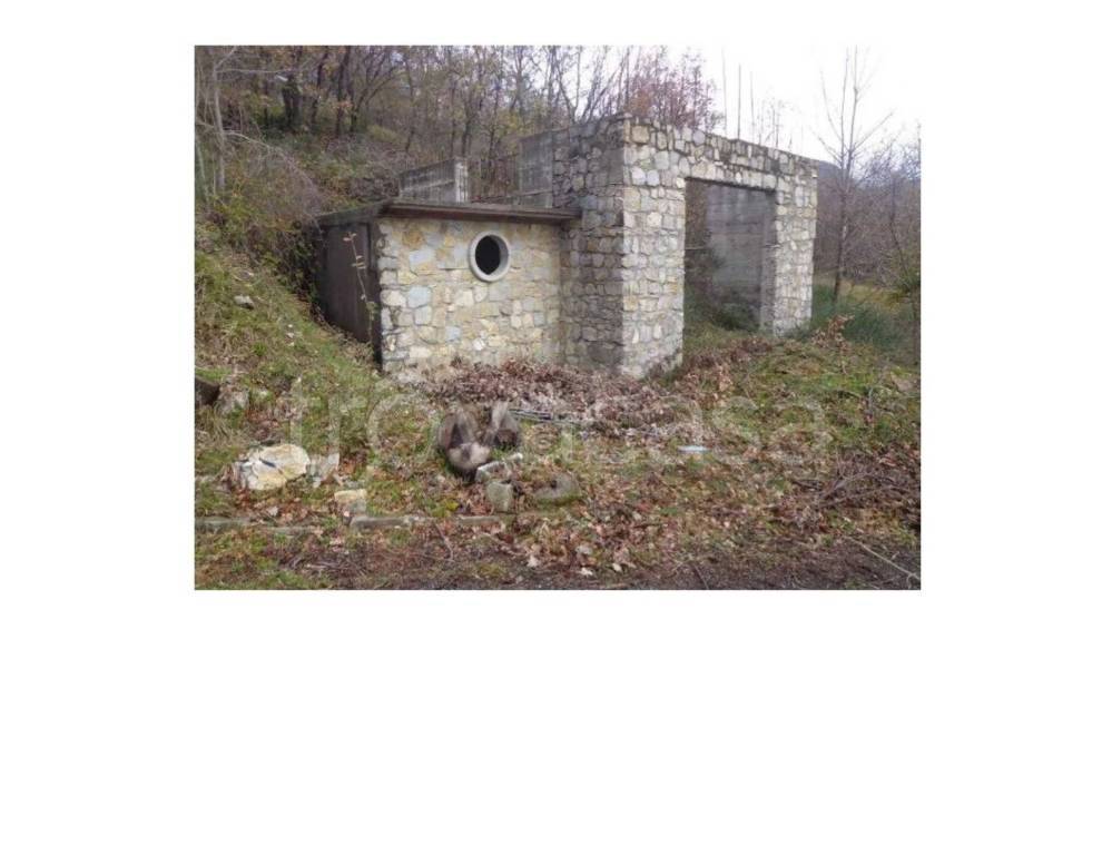 immagine annuncio 4 di 11