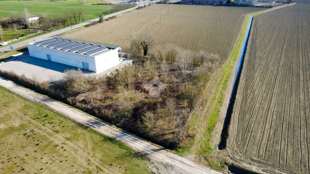 immagine annuncio 2 di 11