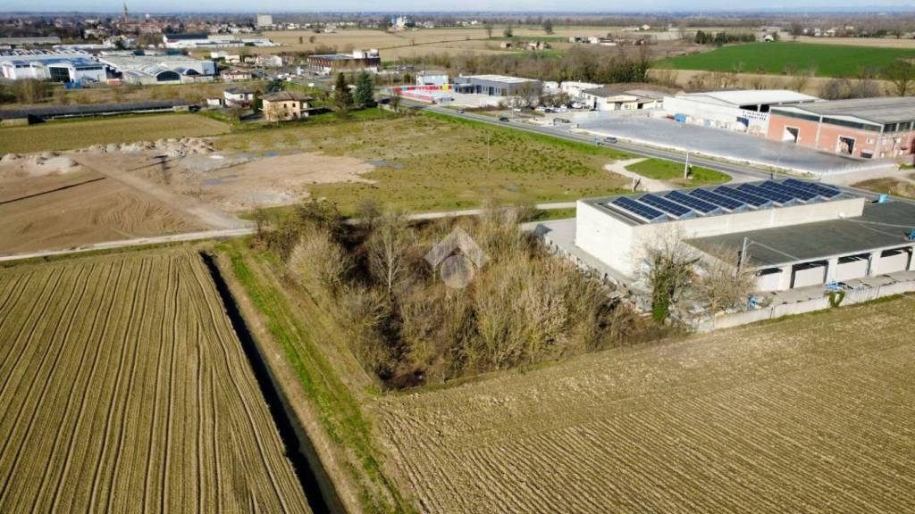 immagine annuncio 3 di 11