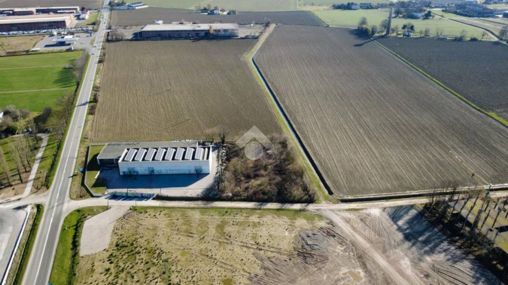 immagine annuncio 4 di 11