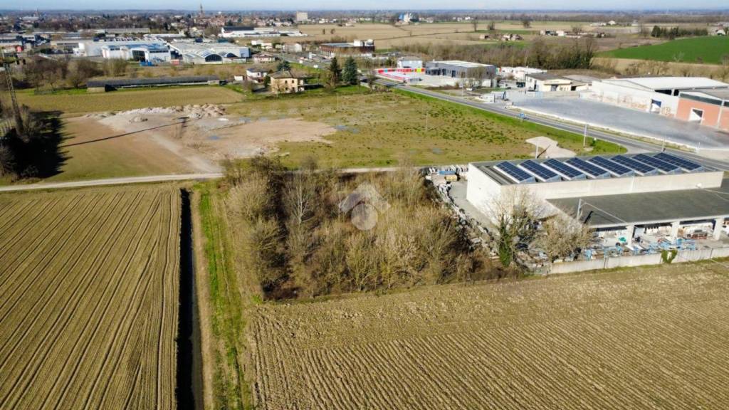 immagine annuncio 5 di 11