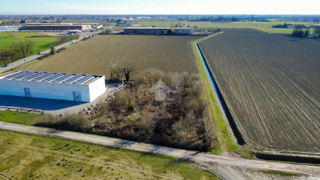 immagine annuncio 6 di 11