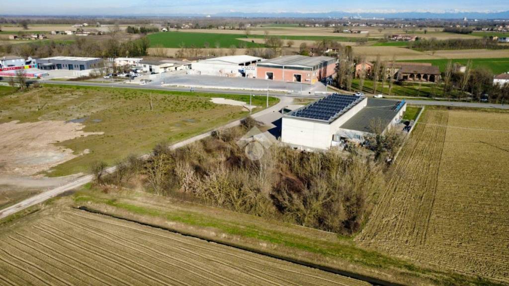 immagine annuncio 7 di 11