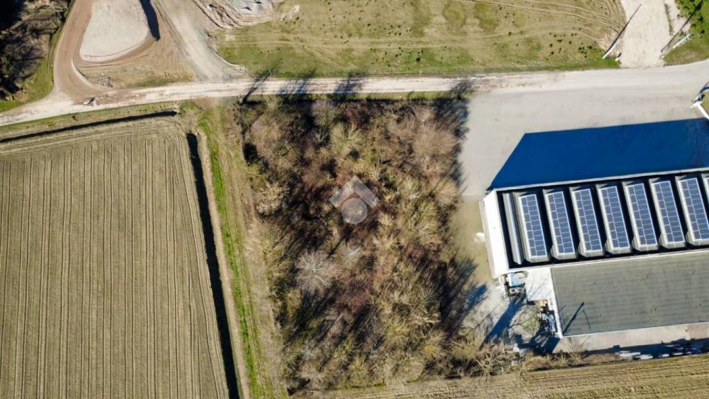 immagine annuncio 8 di 11