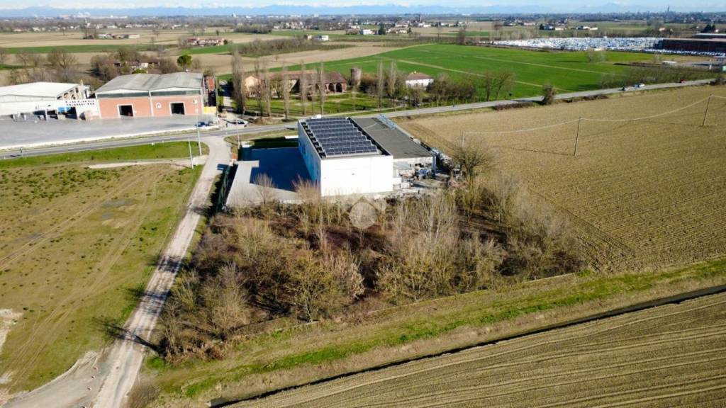 immagine annuncio 9 di 11