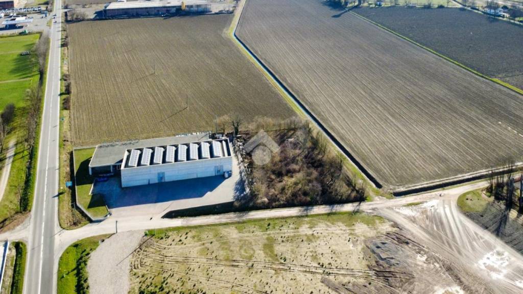 immagine annuncio 10 di 11