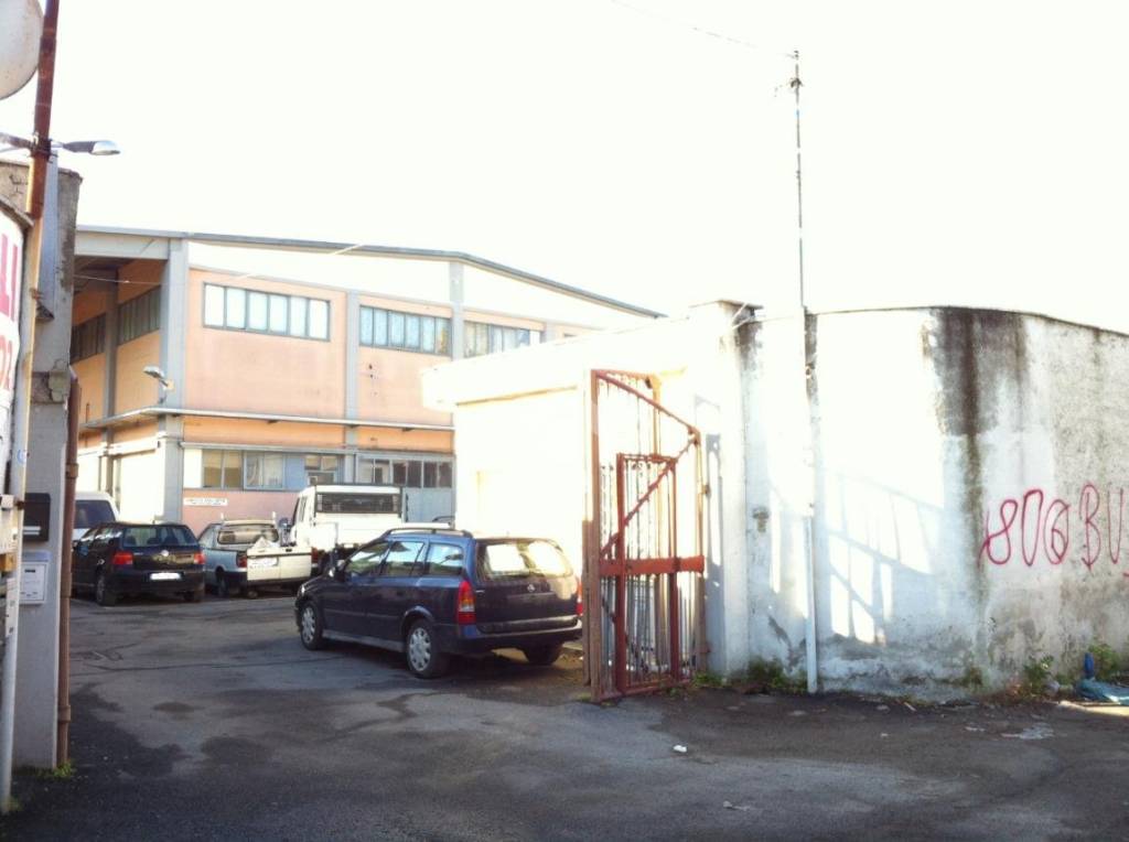 immagine annuncio 2 di 4