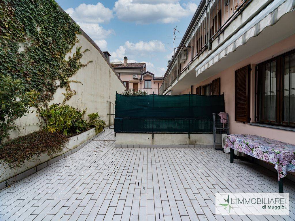 immagine annuncio 5 di 15