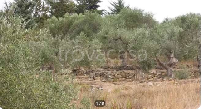 immagine annuncio 6 di 7