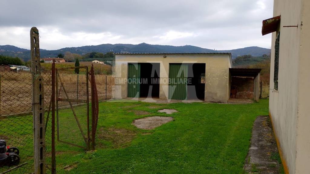 immagine annuncio 7 di 11