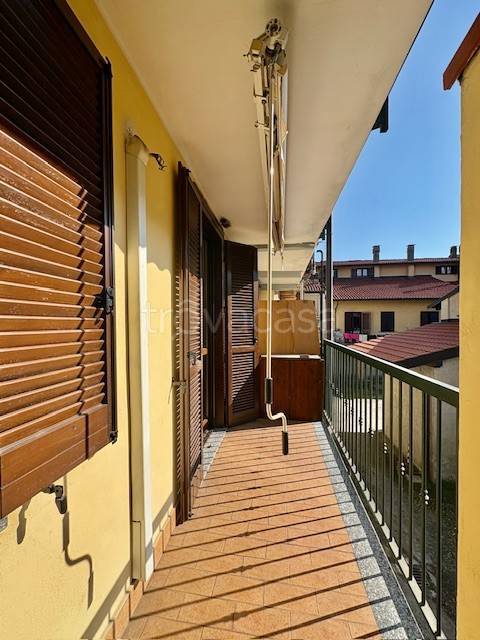 immagine annuncio 4 di 12