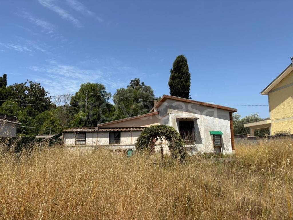 immagine annuncio 1 di 7