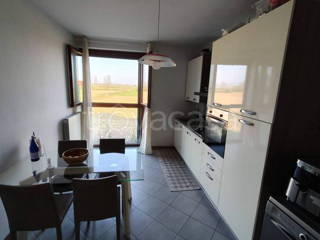 immagine annuncio 2 di 14