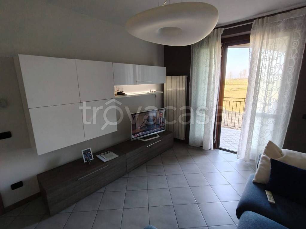 immagine annuncio 3 di 14