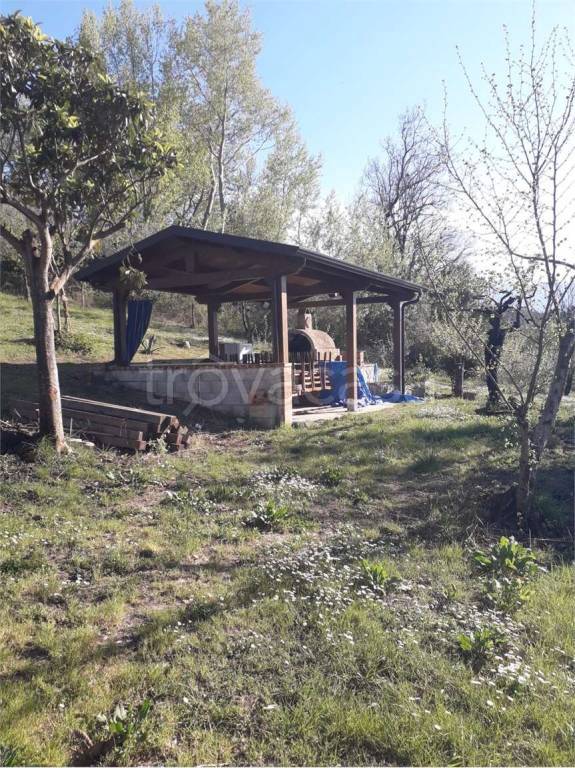 immagine annuncio 2 di 11