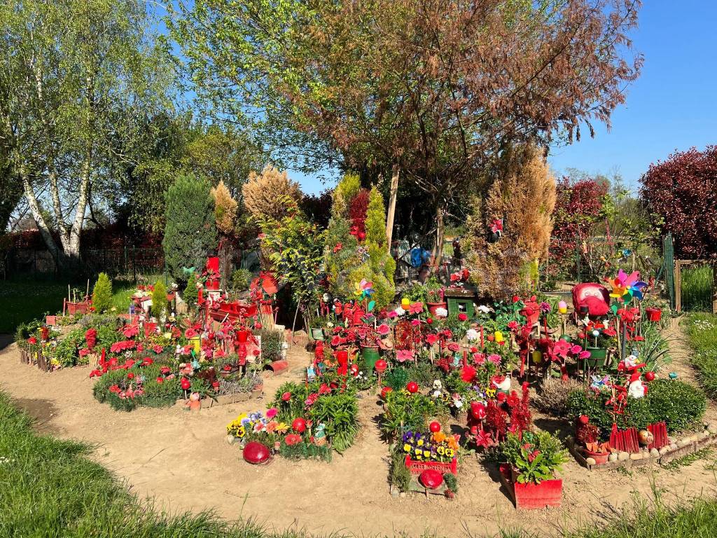 immagine annuncio 13 di 15