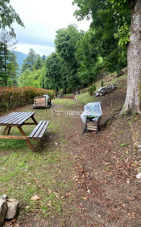 immagine annuncio 5 di 11