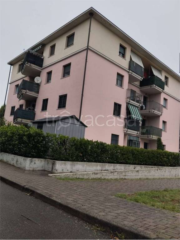 immagine annuncio 2 di 3